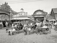 les chariots de chèvre, Coney Island, 1904.jpg