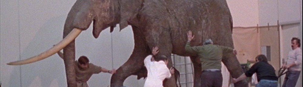 « Ecole et cinéma 92 » Un animal, des animaux