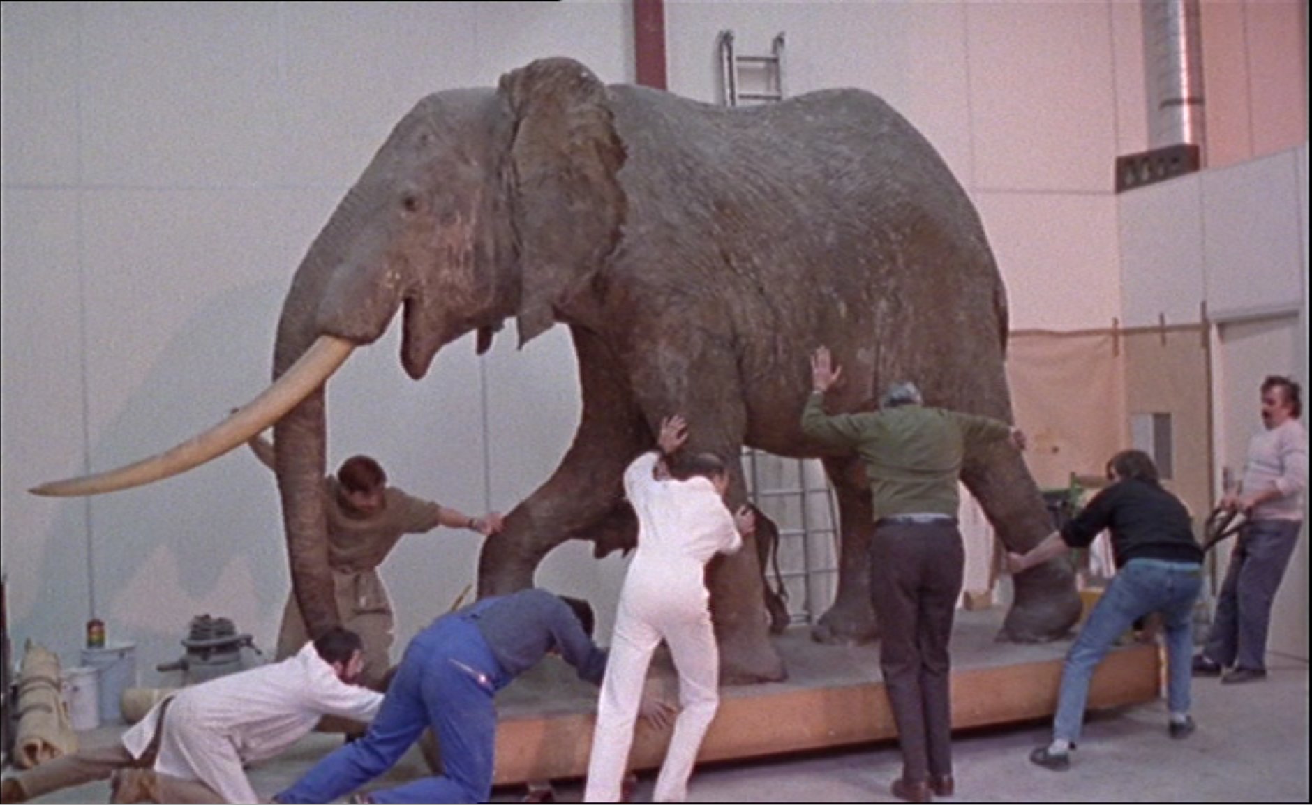 « Ecole et cinéma 92 » Un animal, des animaux