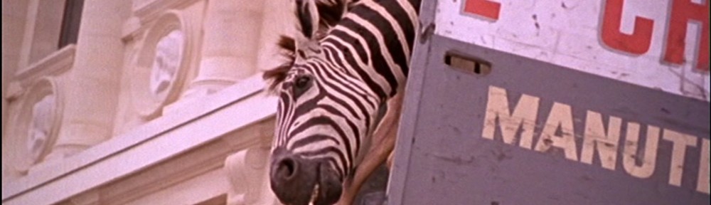 « Ecole et cinéma 79 »       Un animal, des animaux