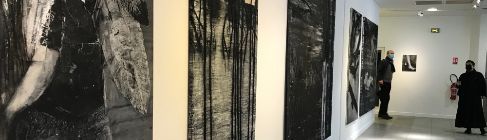 « Les voix du Fleuve » exposition de Constanza Aguirre