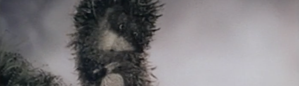 « Les aventuriers » École et Cinéma 93 et 79