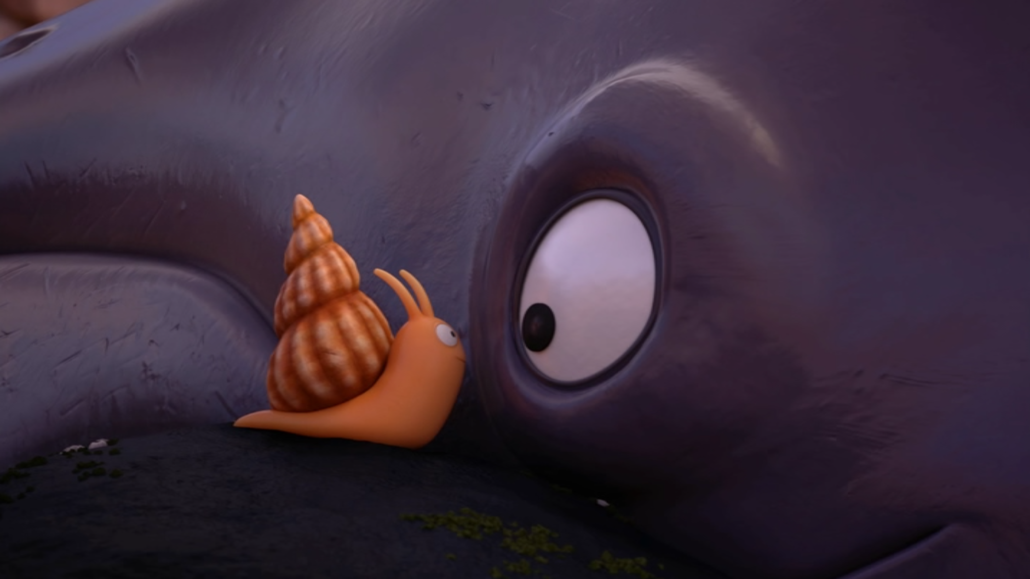 « La baleine et l’escargote »